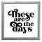 12" x 12" These Are the Days Framed Wall Art, Contemporary Home Décor, Glass Facing and Hanging Hardware Included